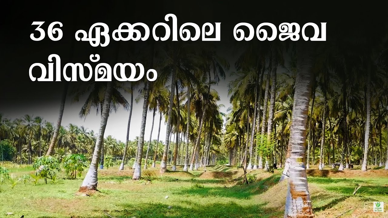 ദീശന്‍ ഓര്‍ഗാനിക്‌ ഫാം | Organic Farming | Mixed Agriculture | Palakkad