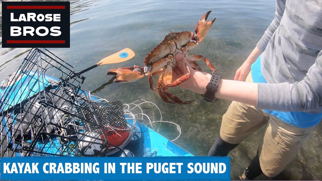 Kayak Crabbing and Flounder Fishing in the Puget Sound - LaRoseBros