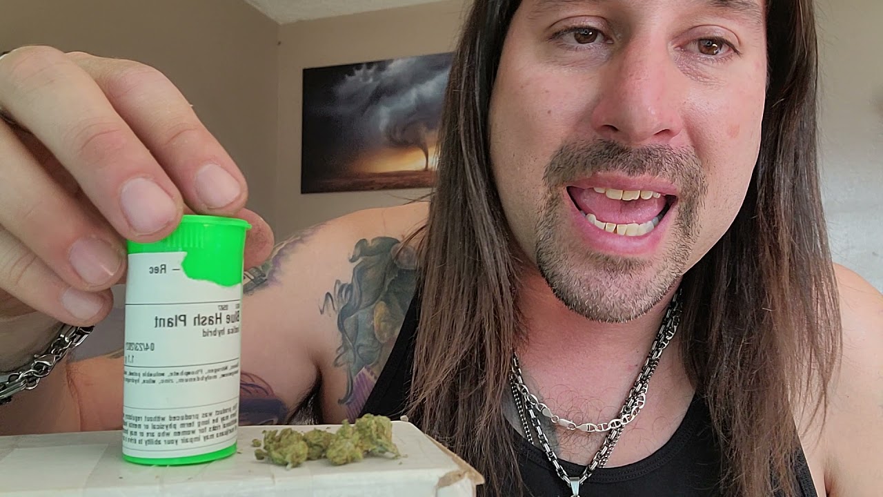 Dan's 420 Chronicles - Blue Hash Plant / Weed Review 4/23/21