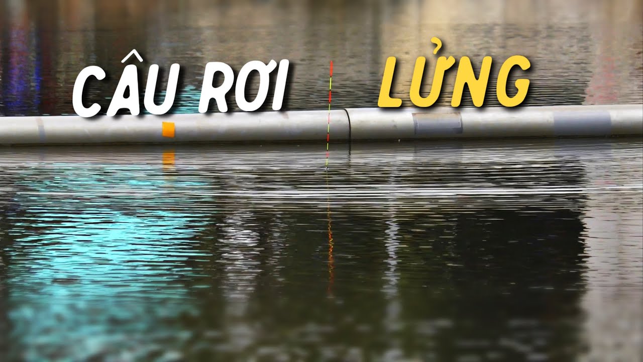 Câu Rơi Lửng Cá Trắm Đen Mới