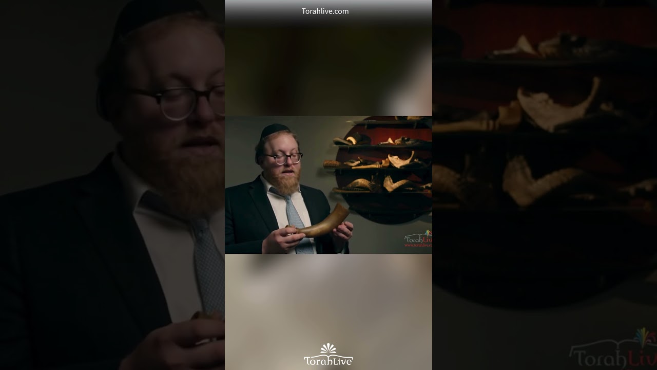 Why You Can&rsquo;t Use a Bull Horn as a Shofar?