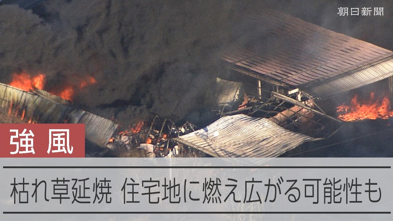 強風にあおられて枯れ草が延焼　茨城県常総市で火災延焼