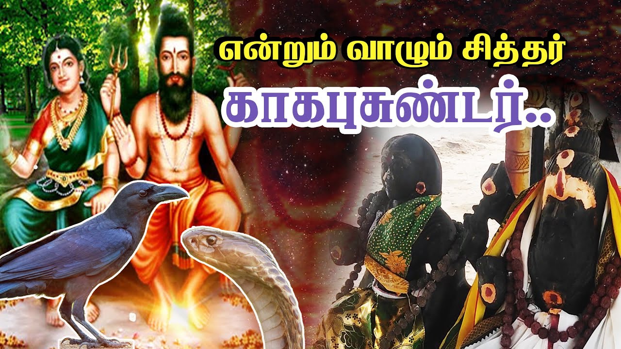 இந்தச் சித்தரை வணங்கிய பலரும் மகான்களான அதிசயம் | Pranavam TV