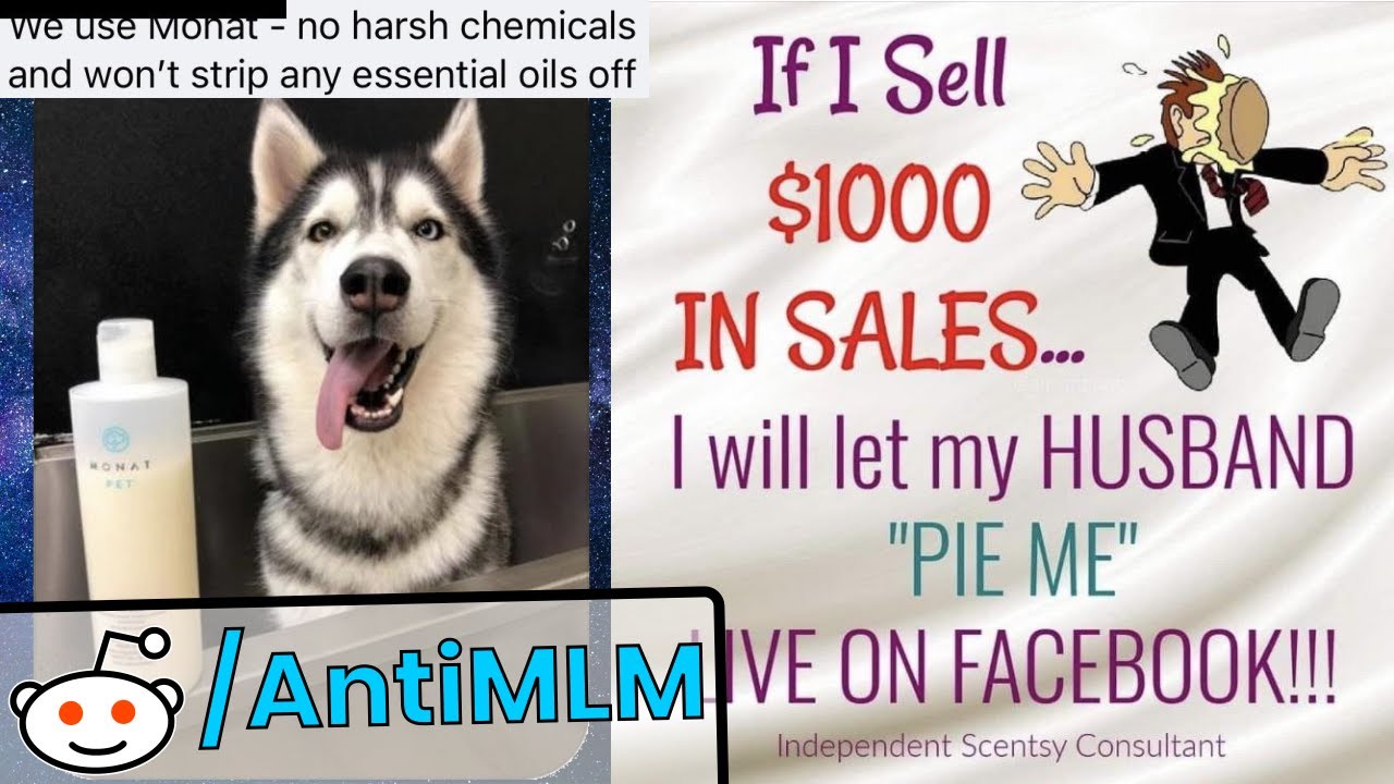 Not Even Dogs Are Safe from MLM - r/AntiMLM (Best Reddit Posts)