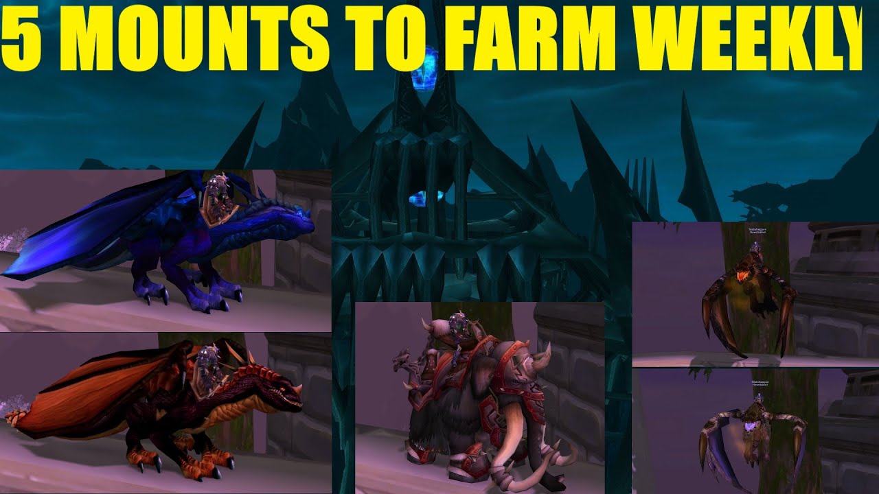 5 mounts you should farm for weekly in WOTLK CLASSIC!