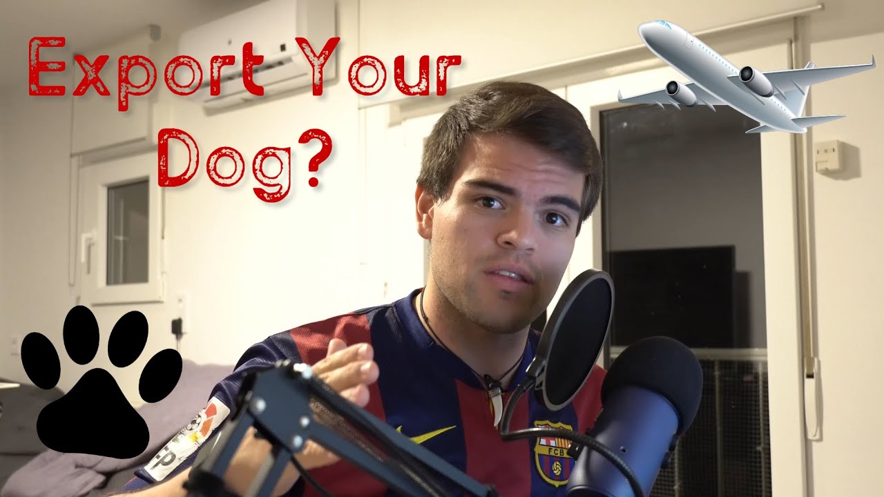 How I Brought My Dog From United States to Spain!