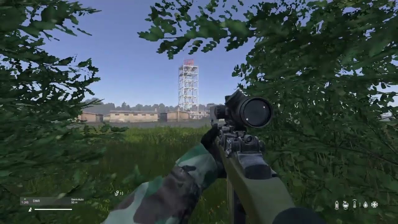 DayZ clips