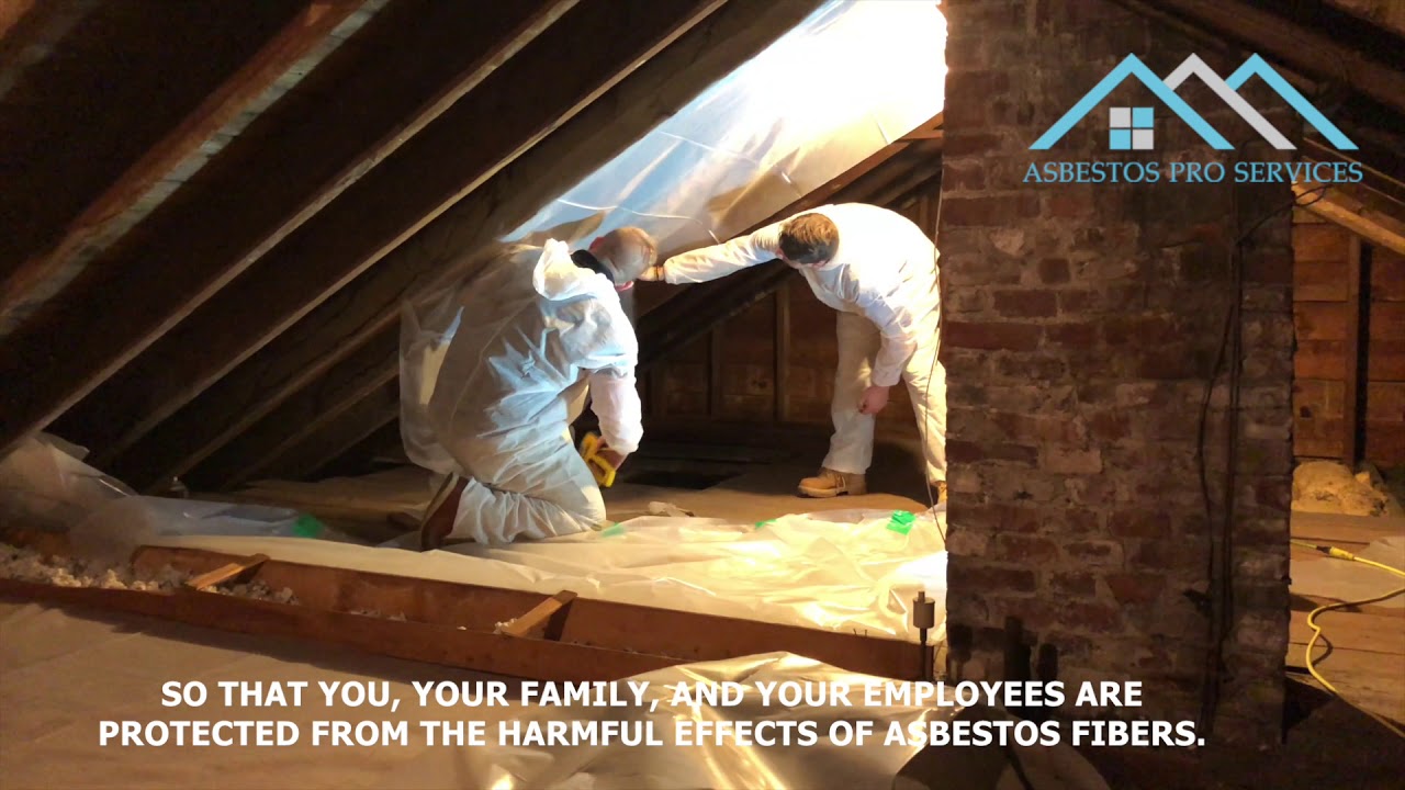 Asbestos Abatement