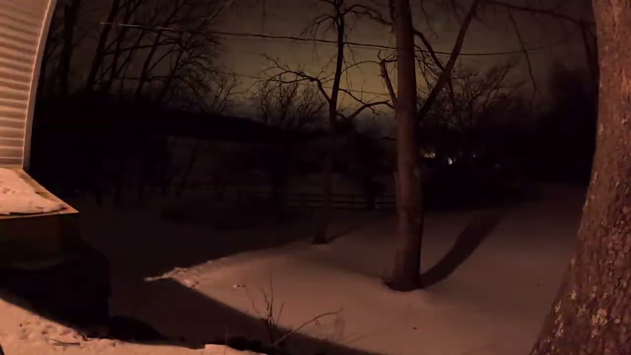 1-28 Snowstorm Melting Timelapse
