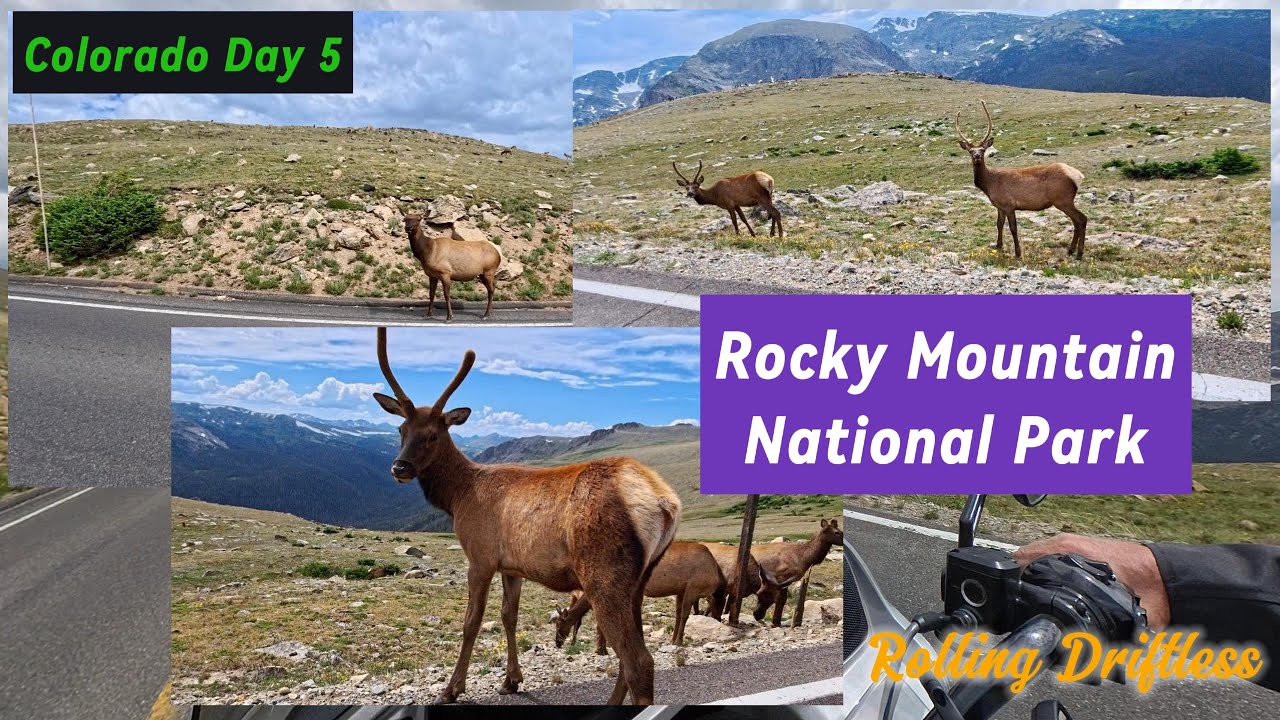 Stunning Vistas riding Rocky Mountain National Park