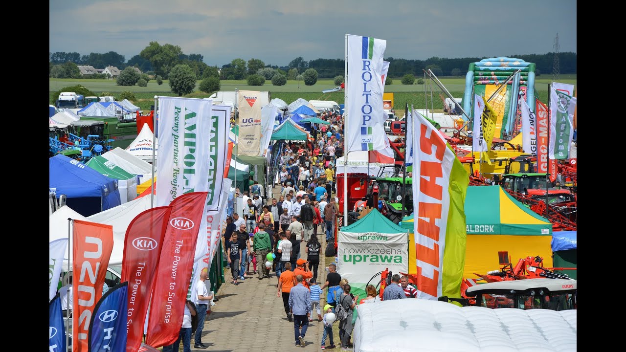 (ARCHIWUM 2015) XXII Żuławskie Targi Rolne i XVI Regionalna Wystawa Zwierząt Hodowlanych