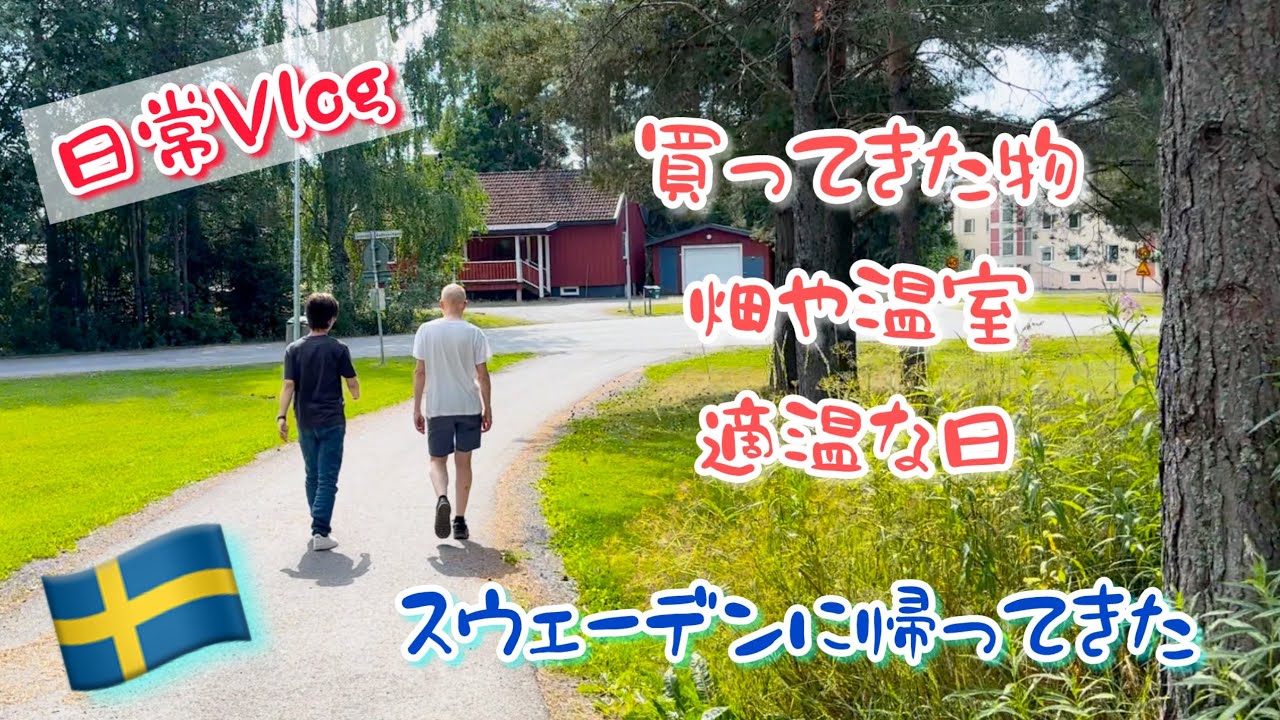 スウェーデンに帰ってきた/スウェーデン北部在住の時差ぼけ