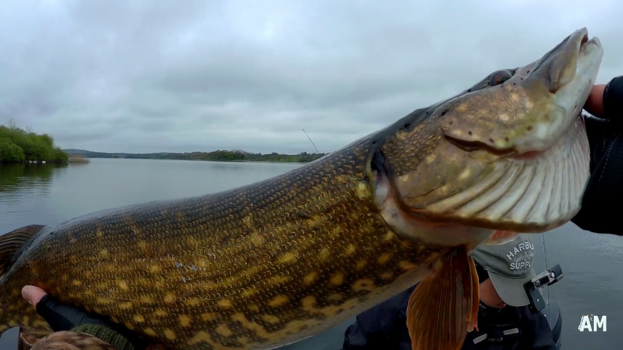 Pike fishing in Lough Ramor