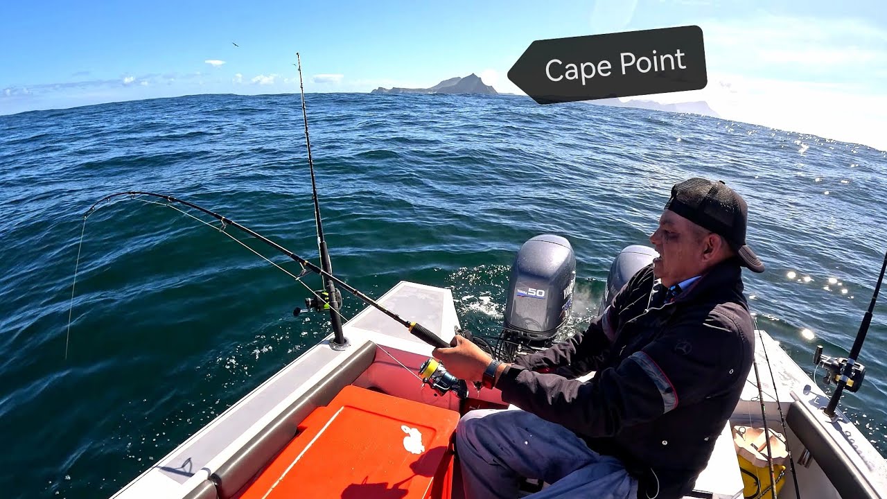 Yellowfin tuna at Cape Point (Anvil)