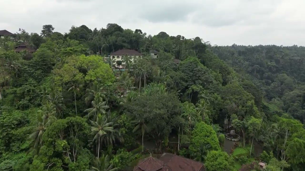 Drone over Ayung resort Ubud, Bali