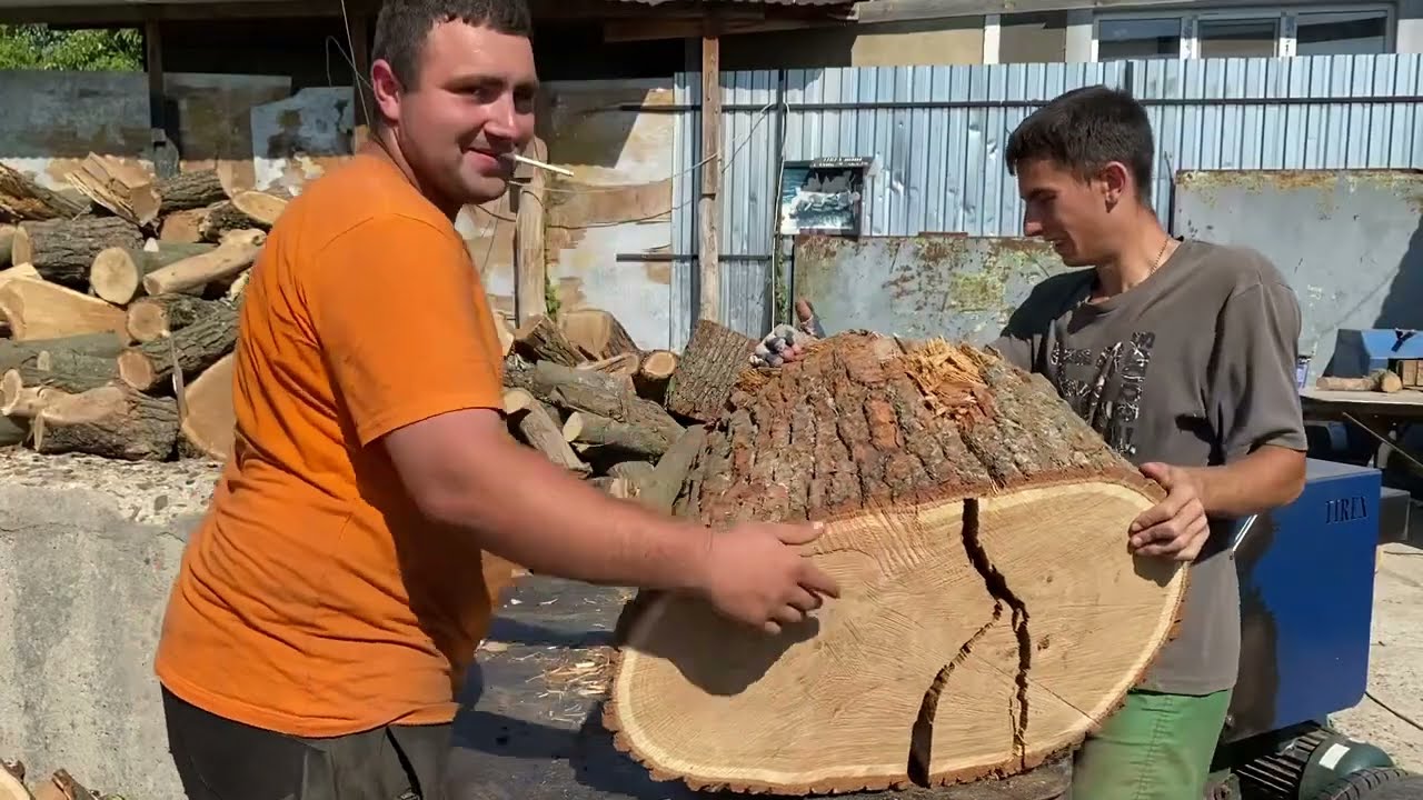 UNSTOPPABLE Log Splitter vs Giant Stumps