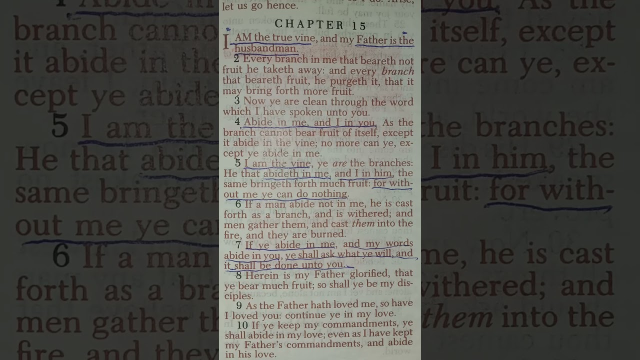John 15:1-7 If ye abide in my & my words abide in you, ye shall ask what ye will, it shall be done