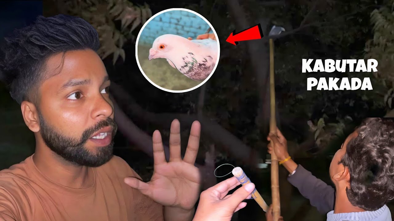 Aj Raat M Kabutar pakda 😍 ||  आज किसी का भगा हुआ कबूतर पकड़ लिया |