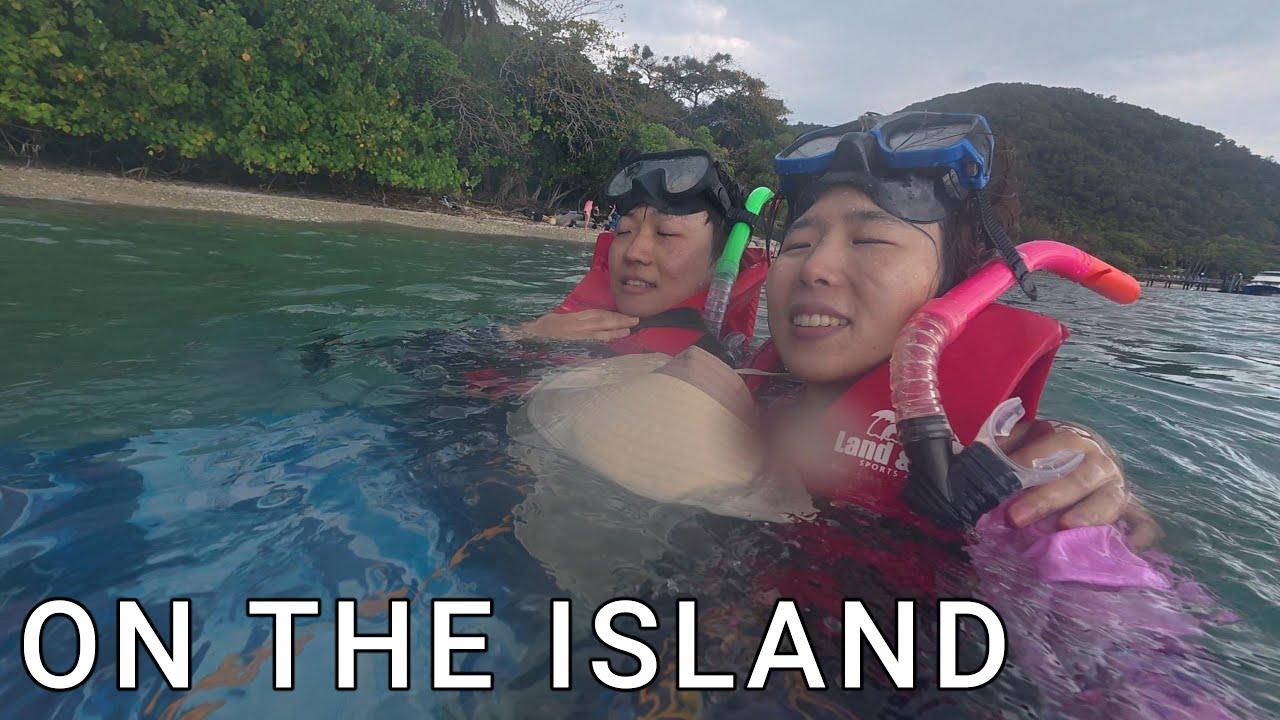 피츠로이 아일랜드에서 보낸 하루 | A Day at Fitzroy Island