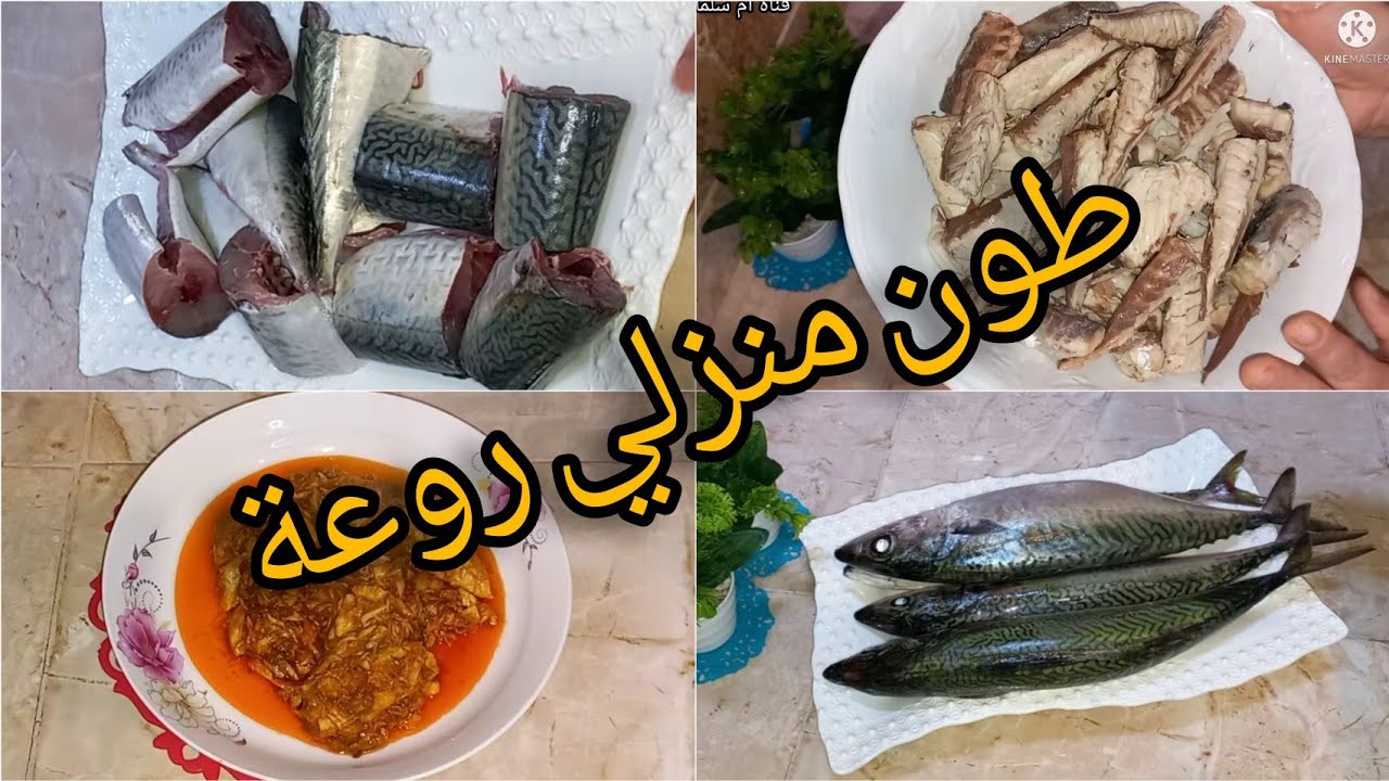 طريقة التحضير الطون معلب ديال طماطم🍅في البيت بكل سهوله 👌😍 #الطون #سهل #طماطم #معلب