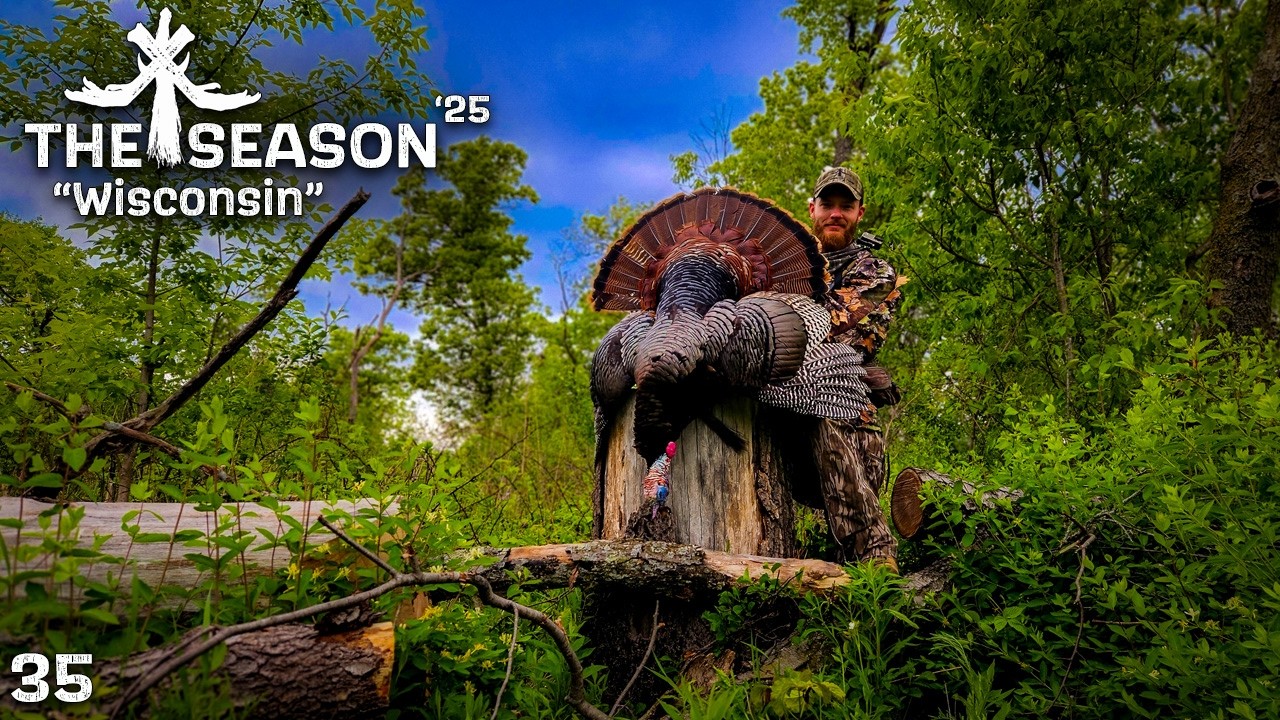 THE PERFECT TURKEY | WISCONSIN GOBBLER COMES IN ON A STRING