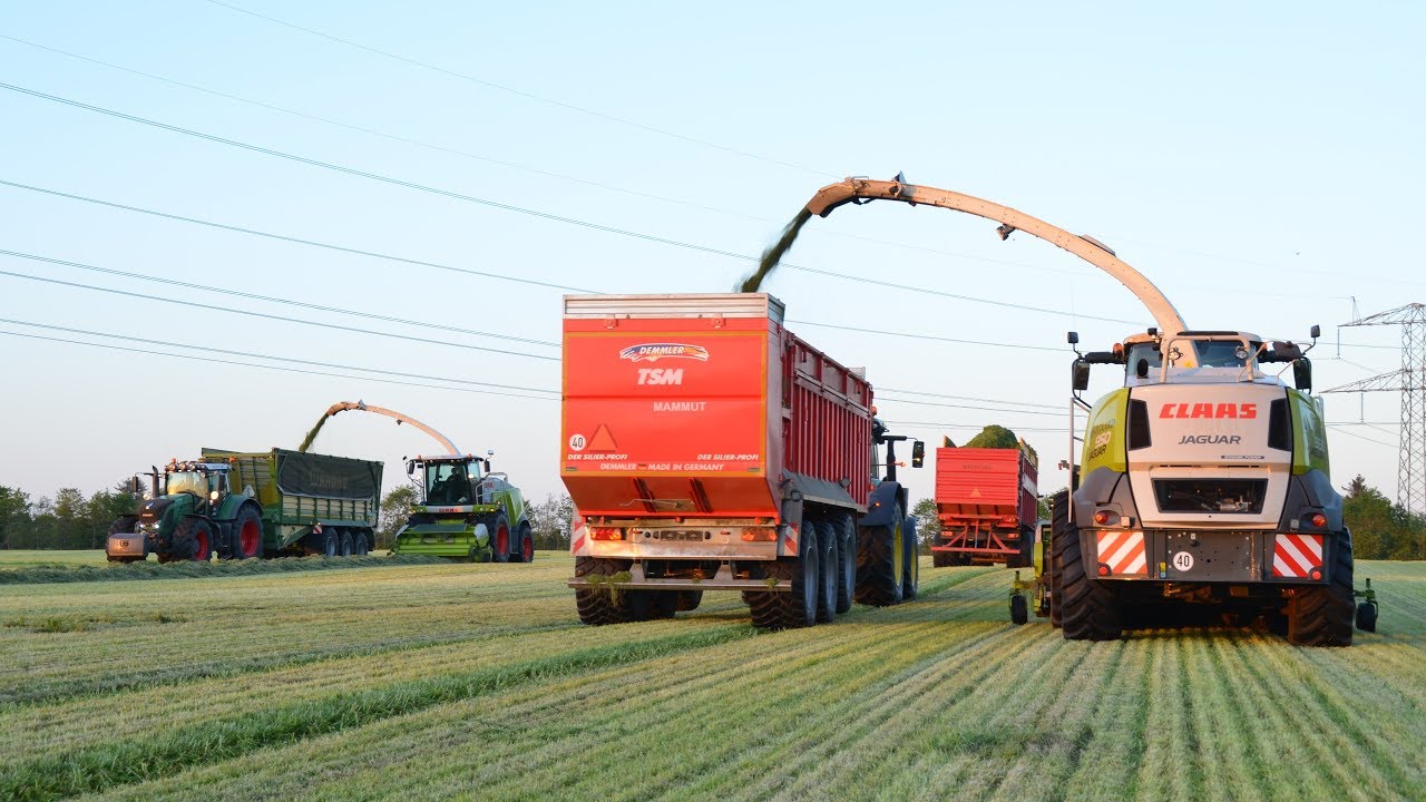 Rostgård Maskinstation Første slæt græs 2017[2xClaas Jaguar 950, Fendt, John Deere]