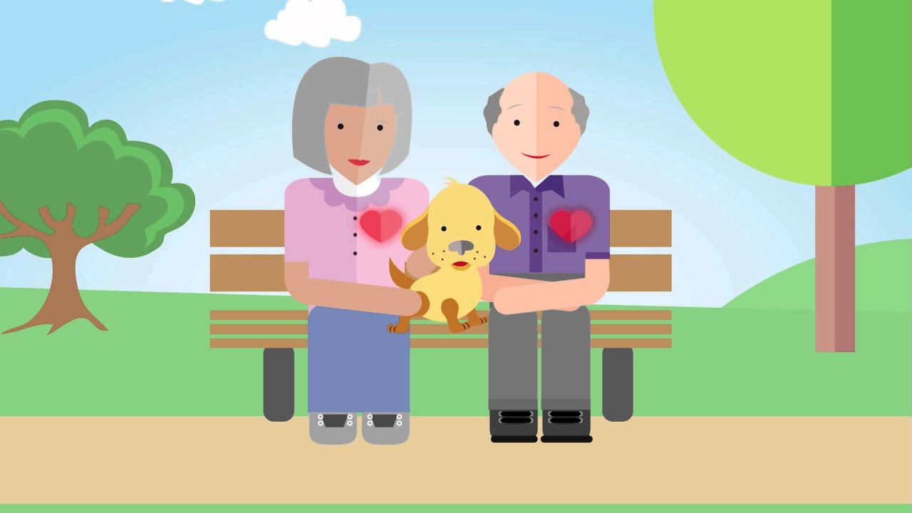 Animation: Pets and Ageing