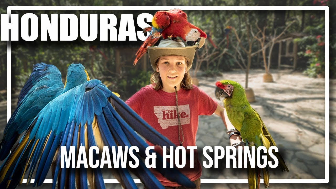 Copan Honduras: Visiting Macaw Rescue and Luna Jaguar Hot Springs