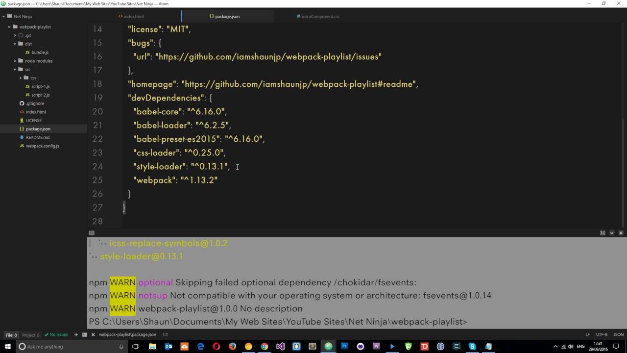 Учебник Webpack для начинающих №5 &mdash; CSS-загрузчики