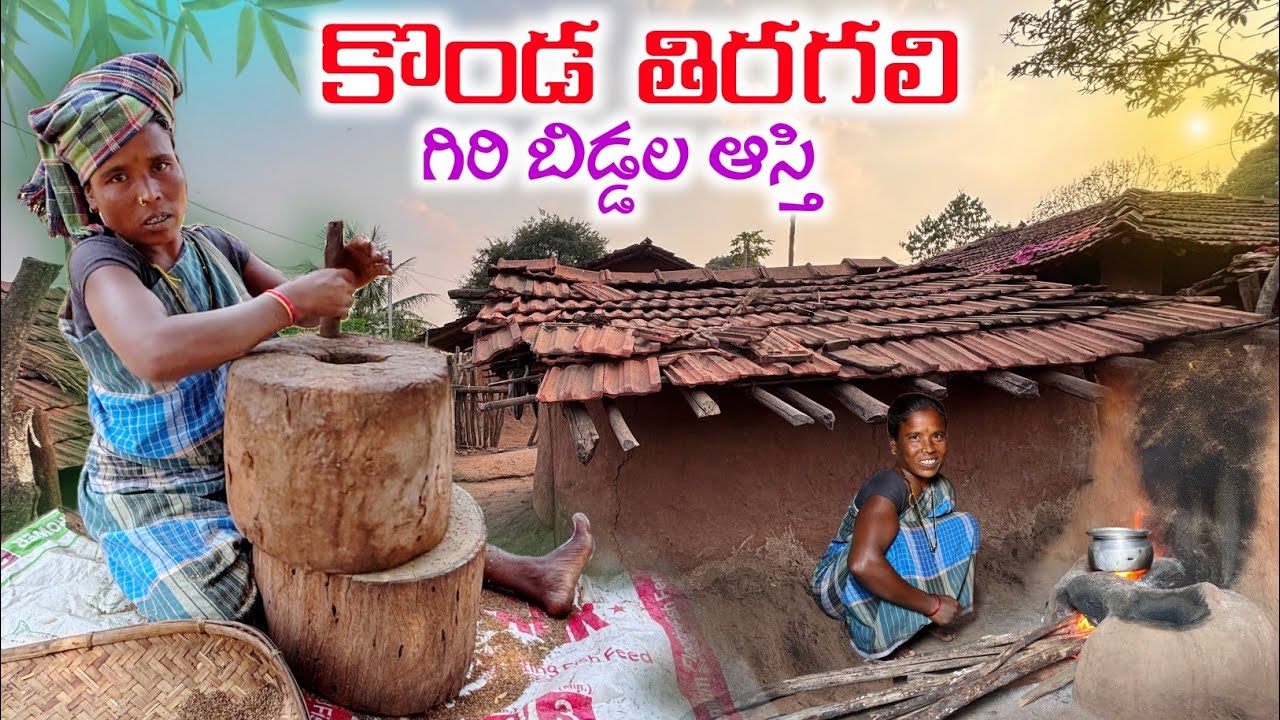 Wooden hand mill of Tribals : కొయ్యతిరగలి/ మాను తిరగలితో  గిరిజనుల సామబువ్వ వంట @TribalMirror