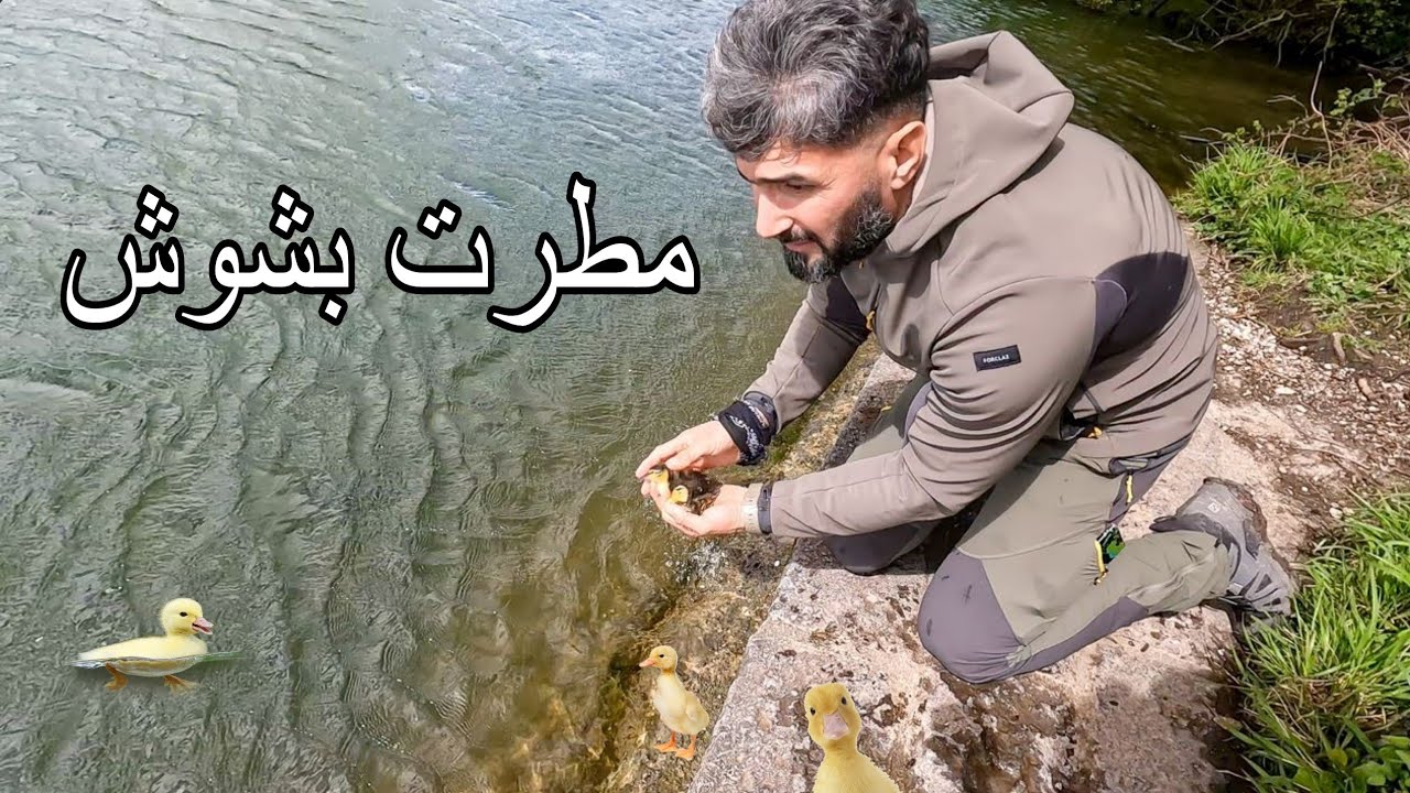 مطرت بشوش🐤 وتعال عبدالله انقذهن من مغامره إلى عملية إنقاذ 🐥🐤