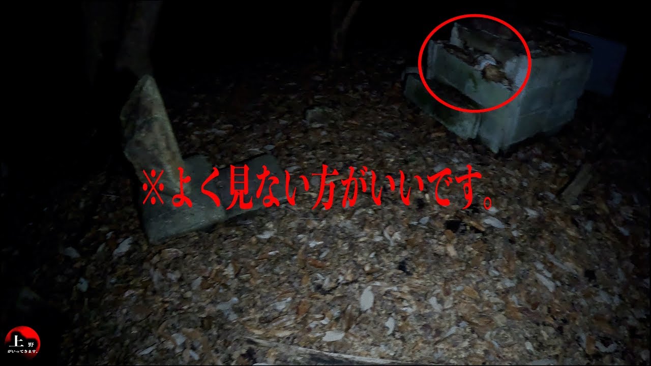 【※見たら後悔するかもしれません※】山奥に存在する、超ヤバい廃寺【大阪府 朝鮮寺 後編】