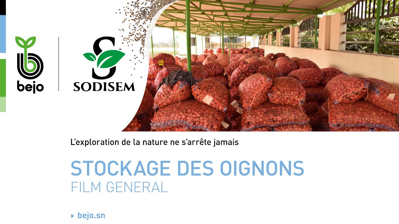 STOCKAGE DES OIGNONS - FILM GENERAL
