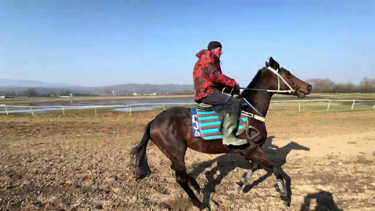 Narcis - trening 8.3.2026
