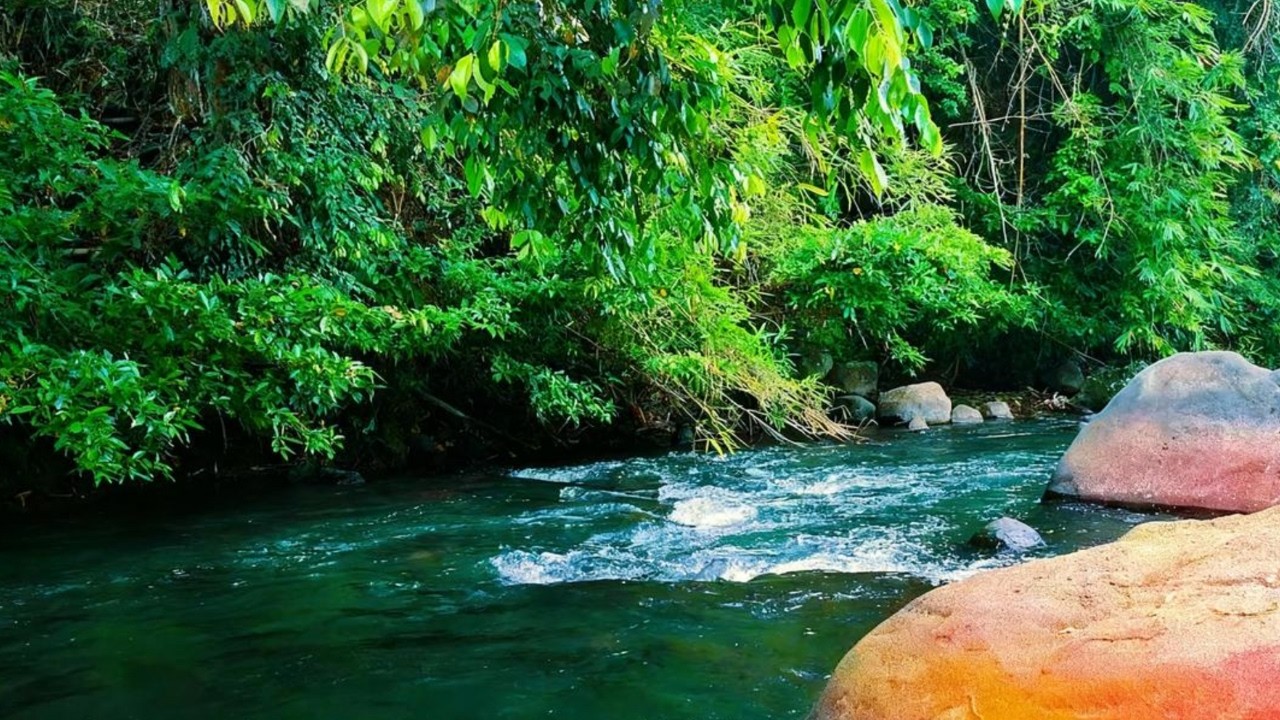 Calm Forest River Sounds | White Noise for Stress Relief