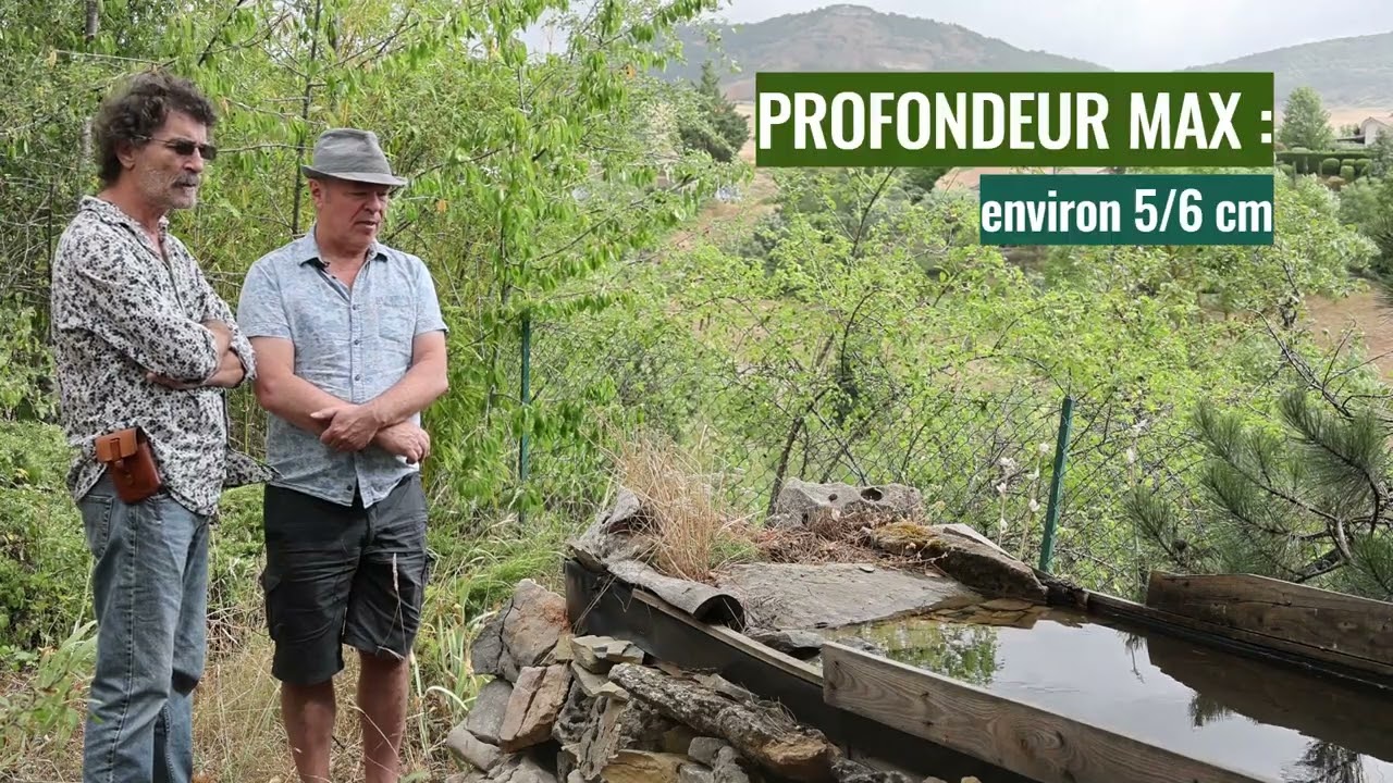 Présentation d'un abreuvoir / DRINK STATION à Oiseaux, avec Bruno Berthémy !