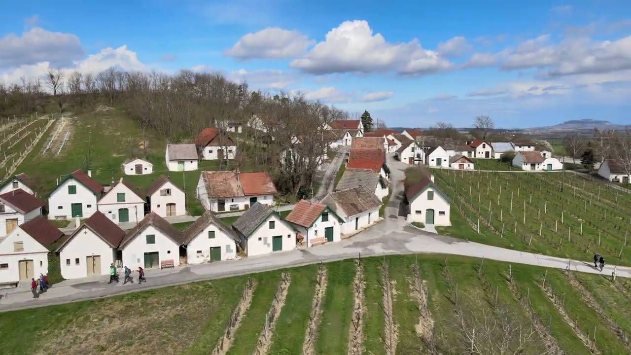 Weinviertler Extreme Gipfelwanderung 2024 // Wildend&uuml;rnbach Galgenberg