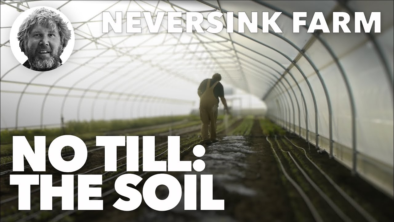 Neversink No Till: The Soil