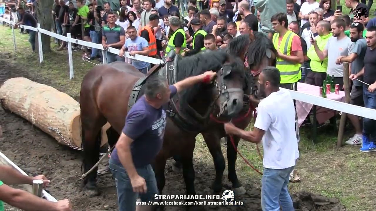 Simić u Te&scaron;koj prvi sa Doratom i Danetom - &Scaron;traparijada Dulene 2023