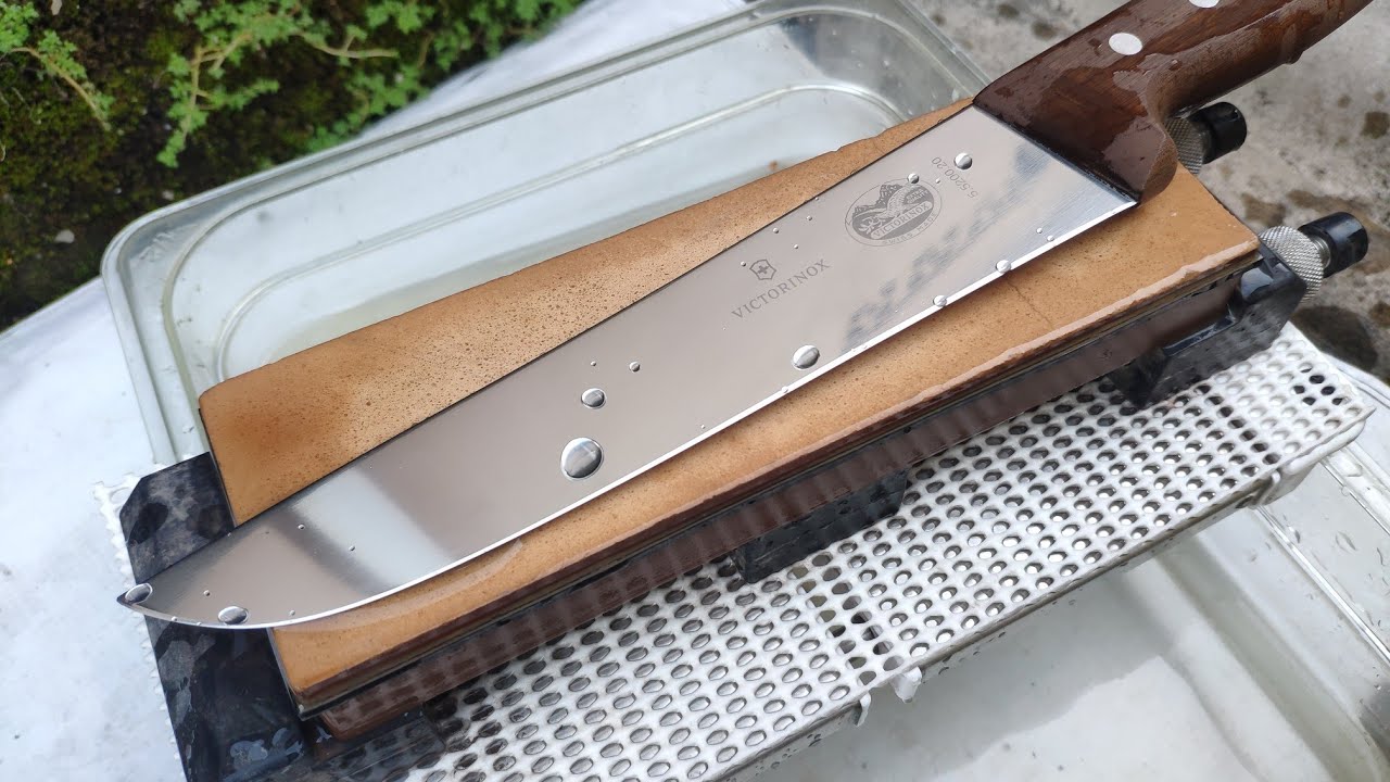 King 6000 licin, gak bisa slice tissue...disimak Paman🔪🔪
