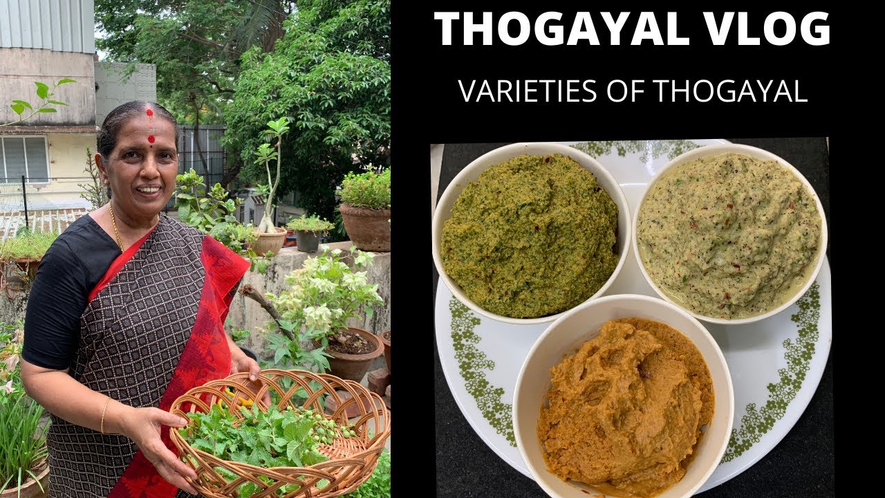 Thogayal vlog / Varieties of Thogayal / Pudina/Dosakkai/ Paruppu thogayal by Revathy Shanmugam