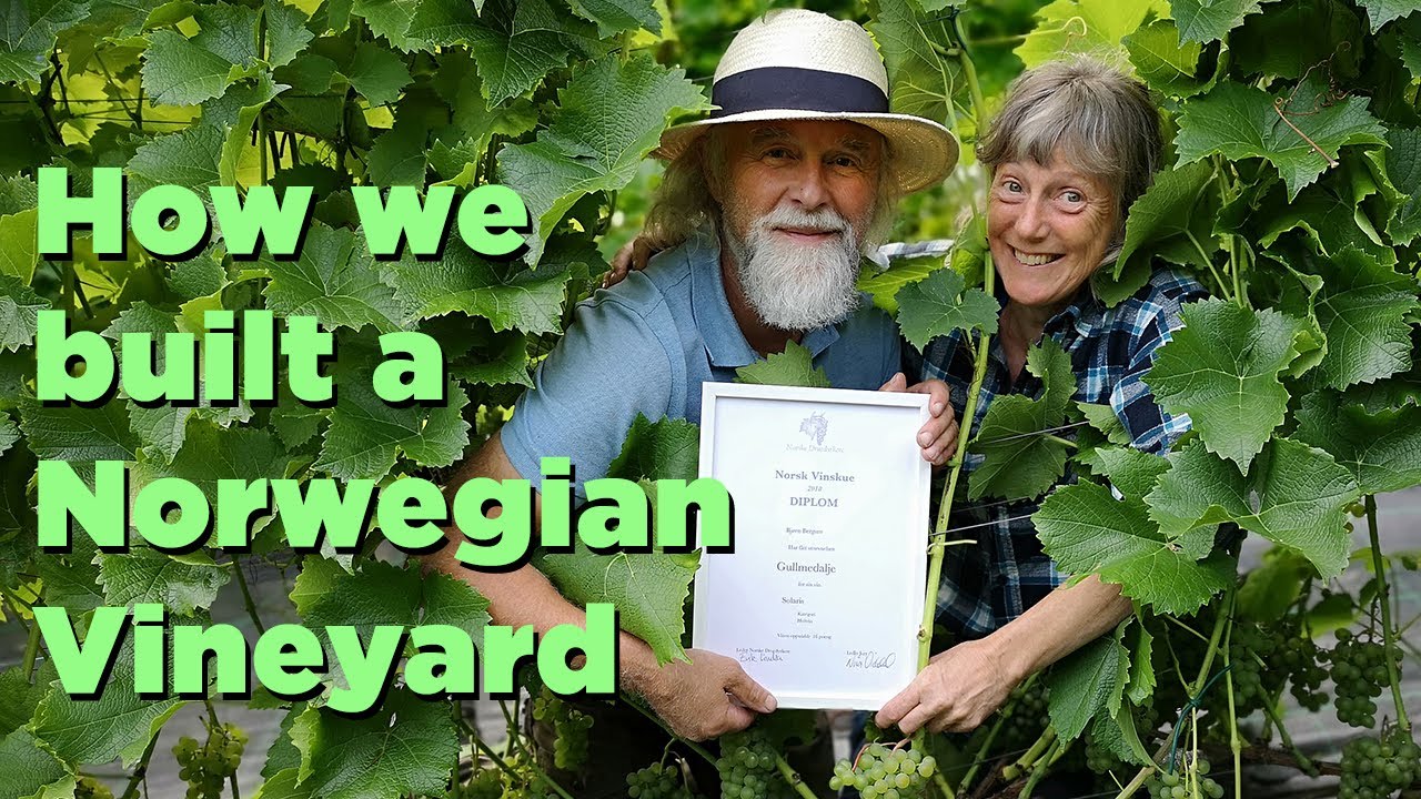 How we started our Norwegian vineyard in the Sognefjord