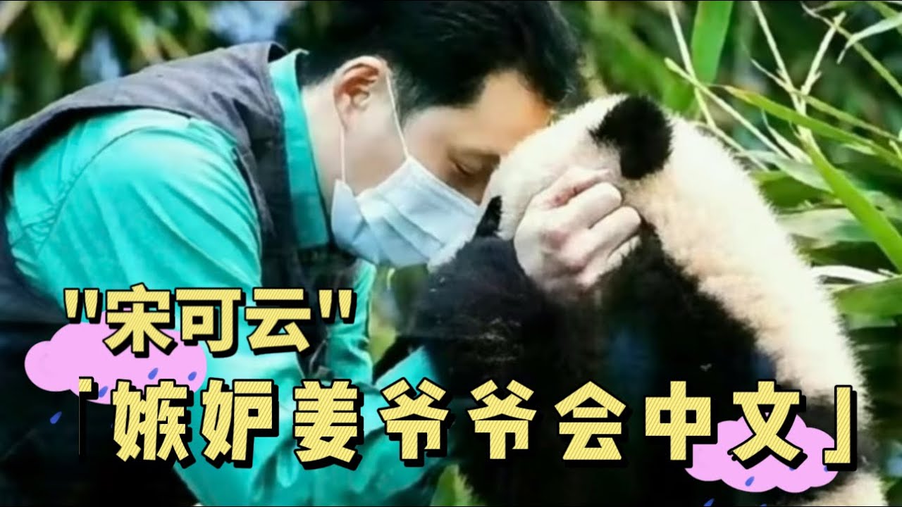 破碎的宋可云，至今难忘的噩梦和遗憾 。福宝要怎么安慰这个小爷爷