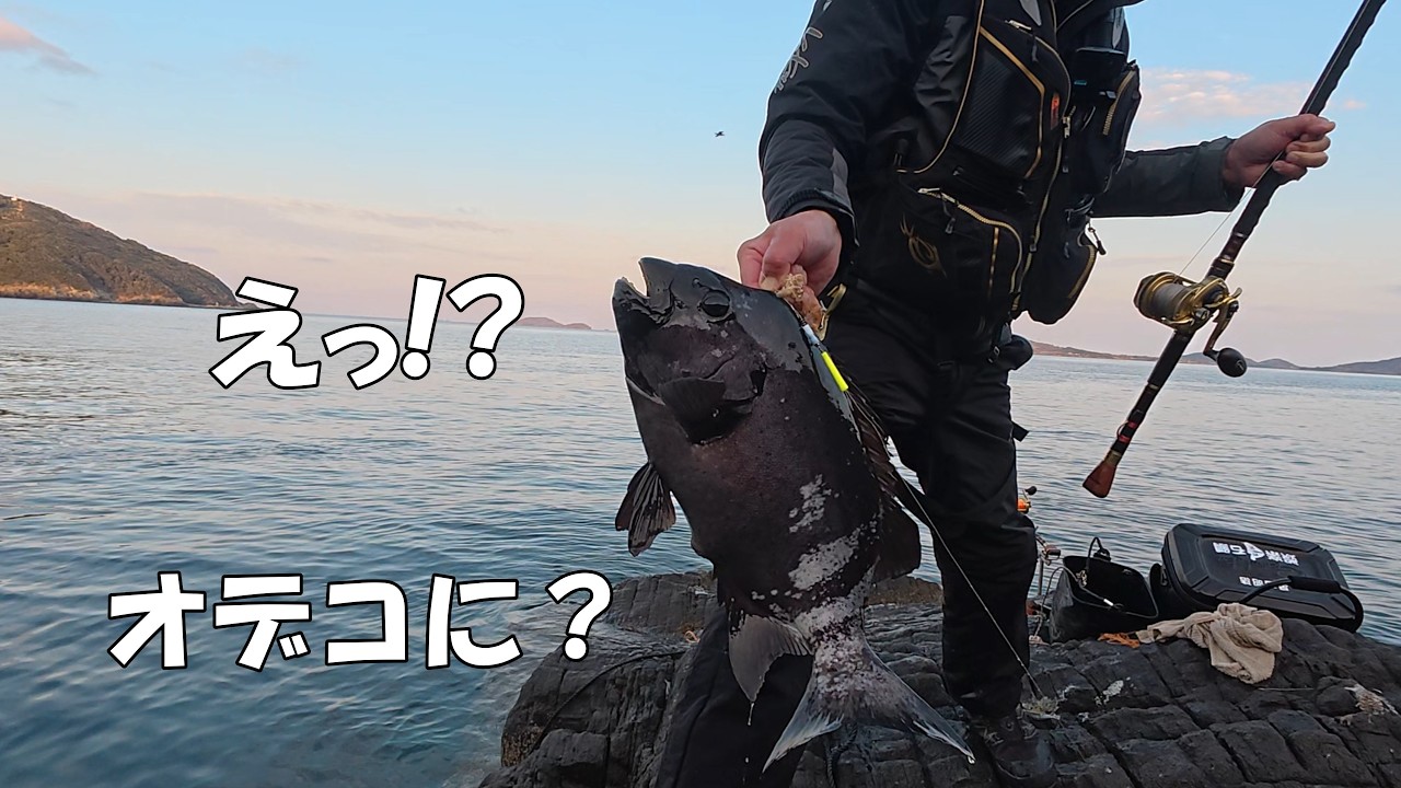 落とした石鯛を取りにリベンジに行ったら今度は？！