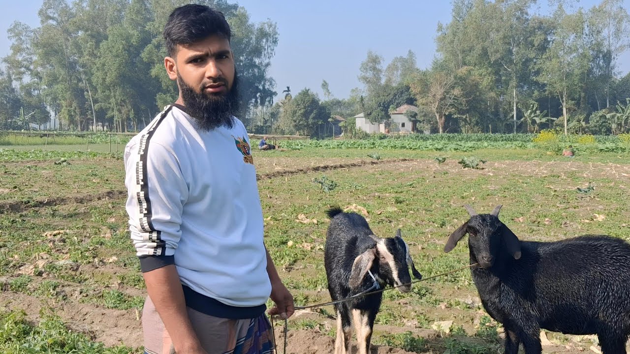 আলহামদুলিল্লাহ আমার ছেলের মামাই,ছেলের আকিকা সম্পন্ন করলো। Abu Talib