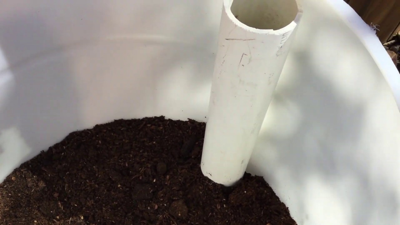 How to build a Sub-Irrigated Planter