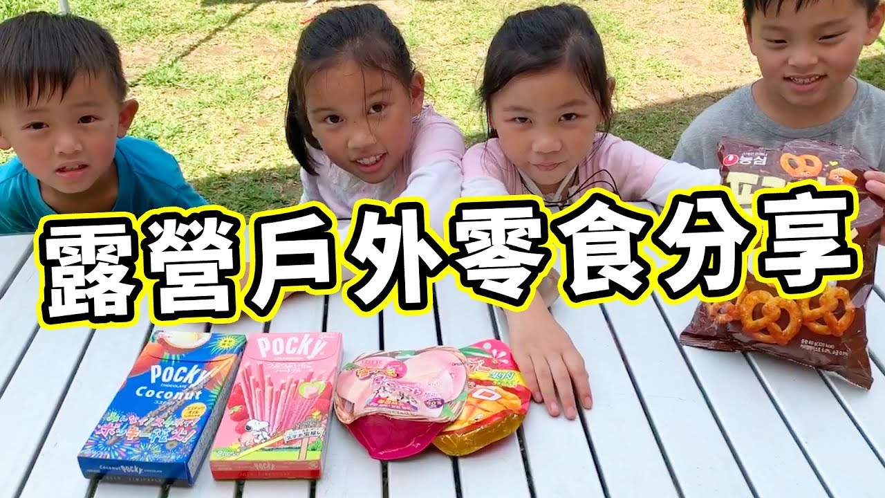 露營零食分享 POCKY 水果口味味覺糖