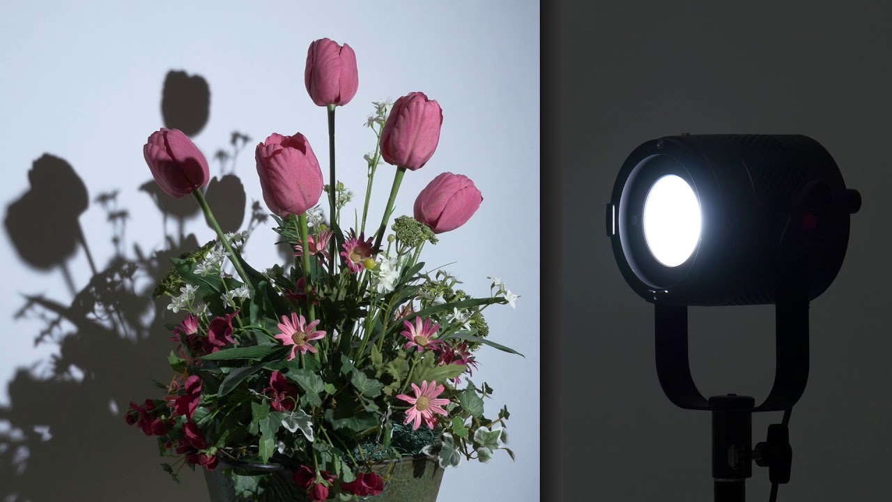 Fiilex P360 Classic Portable LED