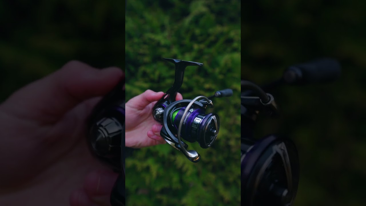 Finnes det penere sneller? 👀 #daiwa #prorex #sportsfiske