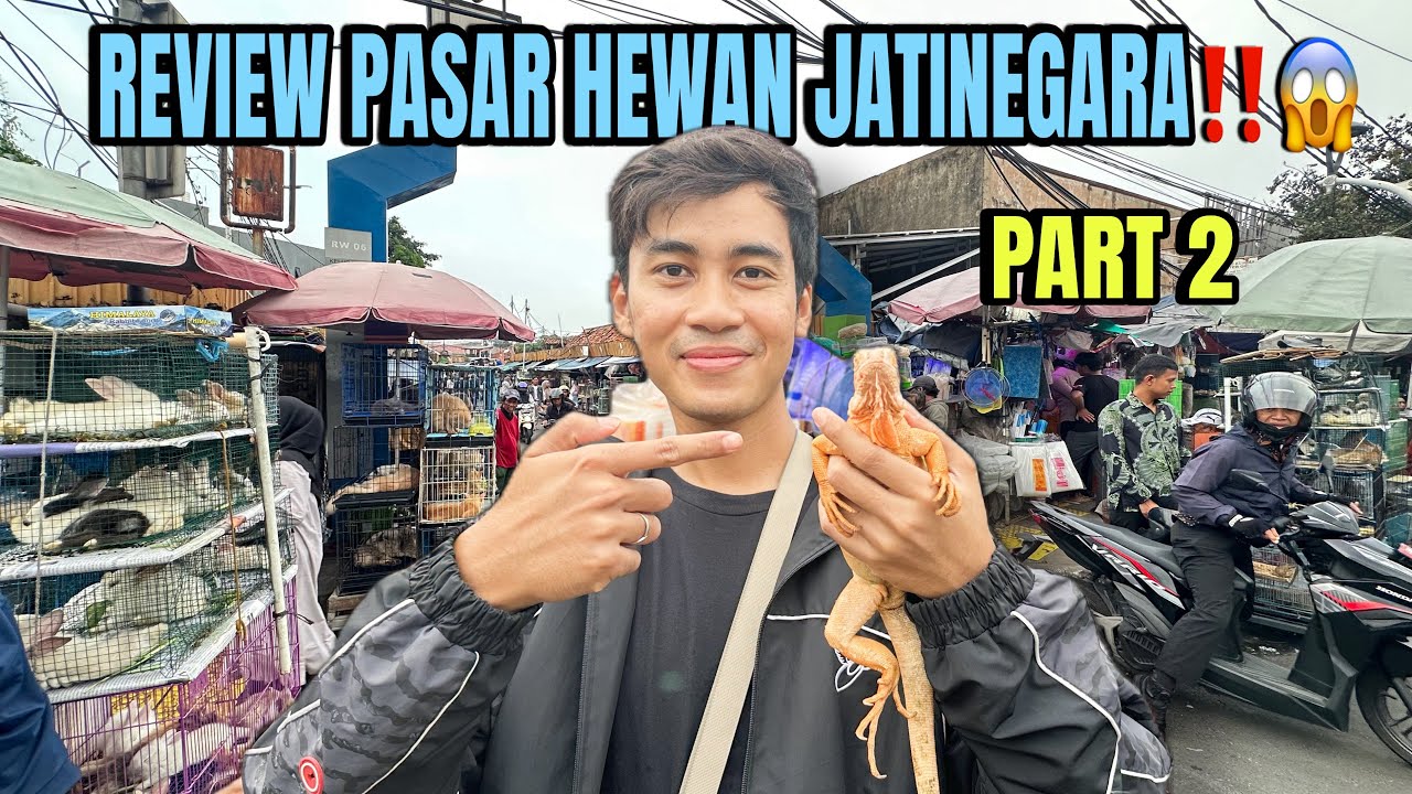 REVIEW PASAR HEWAN JATINEGARA 😱 Part 2